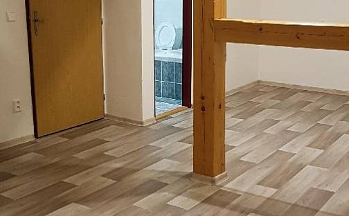 Pronájem pokoje 25 m², Břeclav