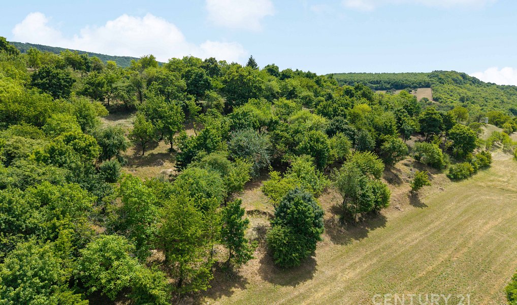 Prodej stavebního pozemku 7 076 m², Koryčany – náhled fotky 13