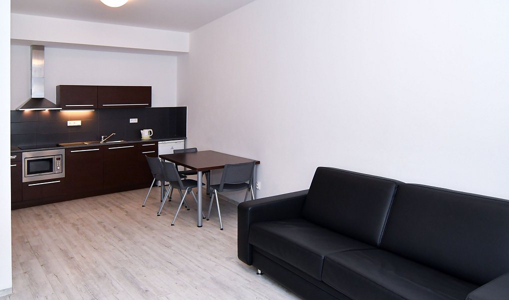 Pronájem bytu 2+kk 45 m², Brno – náhled fotky 5
