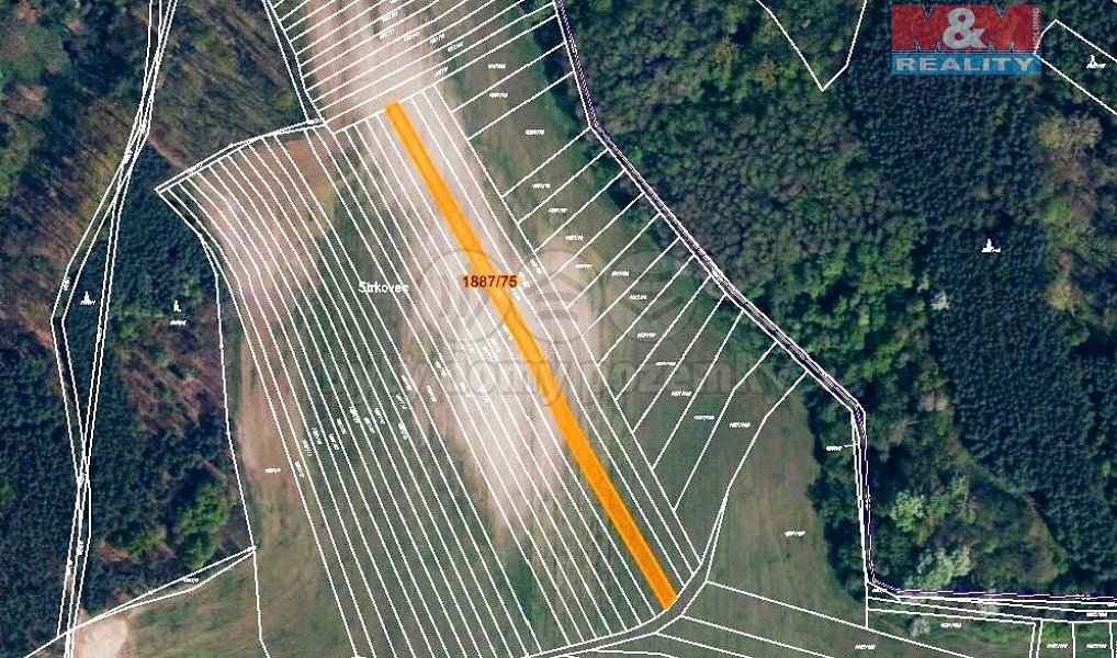 Prodej pole 1 634 m², Vacenovice – náhled fotky 4