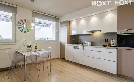 Pronájem bytu 4+kk 101 m²