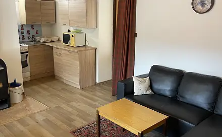 Pronájem bytu 1+1 55 m², Vítějeves, okres Svitavy