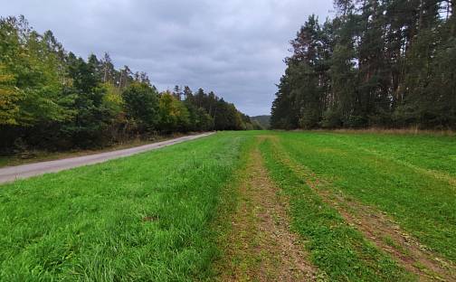 Prodej lesa 44 533 m², Nečín, okres Příbram