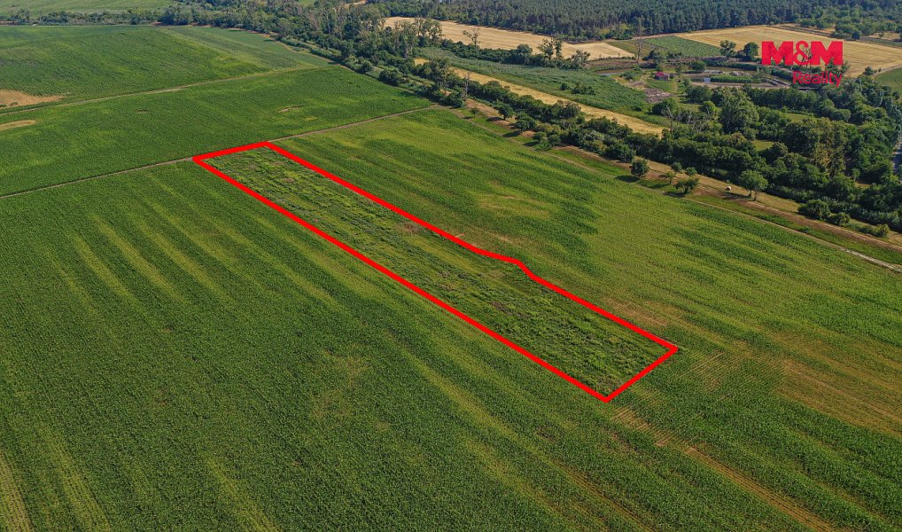Prodej pole 9 227 m², Podivín – náhled fotky 15