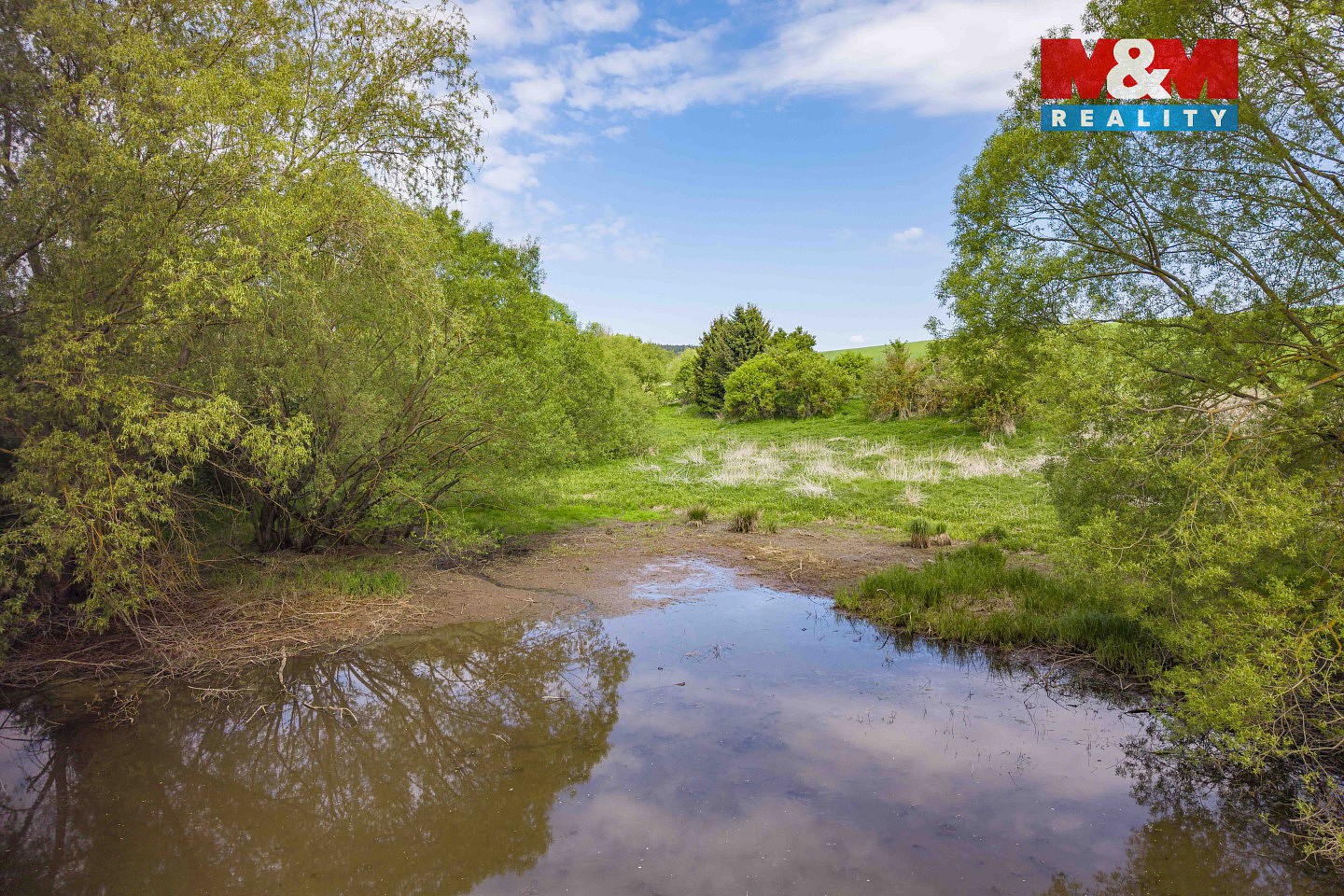 Prodej louky 1 137 m² – fotografie 3