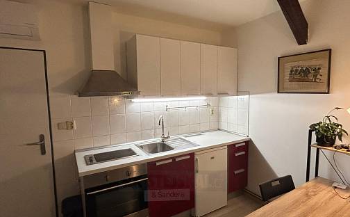 Pronájem bytu 1+kk 22 m², Mánesova, České Budějovice - České Budějovice 6