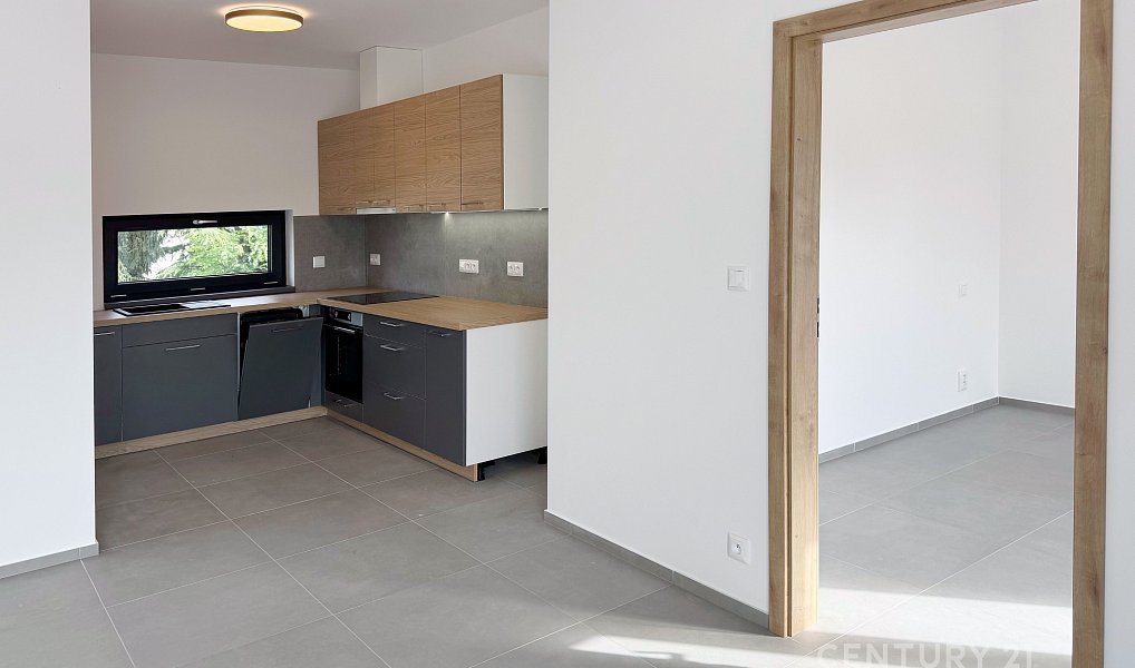 Pronájem bytu 3+kk 52 m², Bořanovice – náhled fotky 12