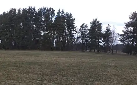 Dražba louky 552 m², Klec