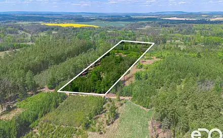 Prodej lesa 79 500 m², Jetětice, okres Písek