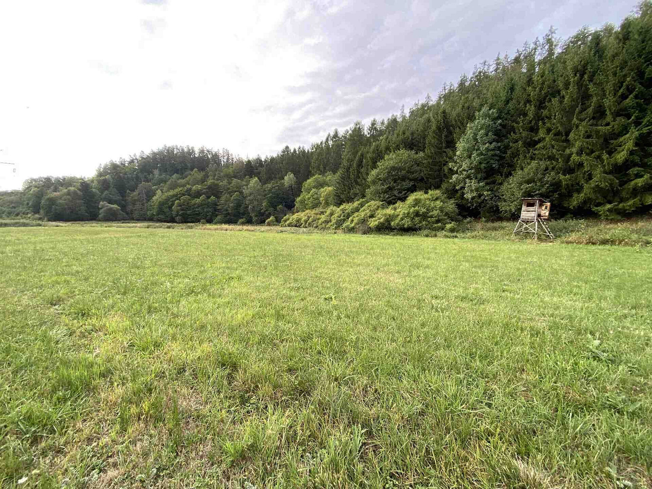 Prodej pole 2 289 m² – fotografie 2