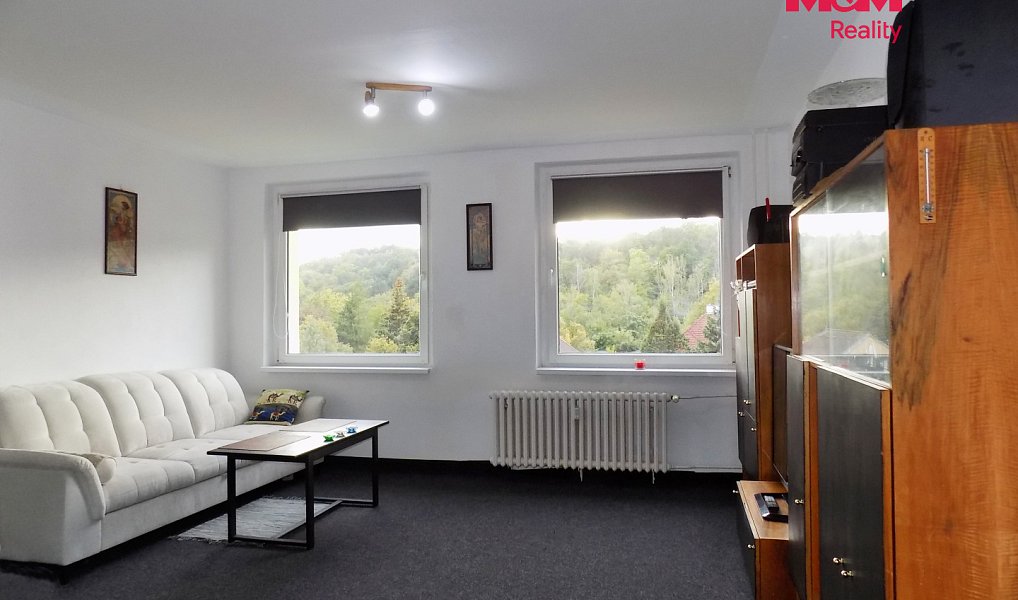 Prodej bytu 1+kk 31 m², Ústí nad Labem – náhled fotky 5