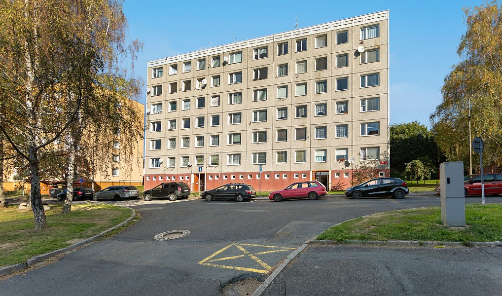 Pronájem bytu 1+kk 31 m², Planá – náhled fotky 8