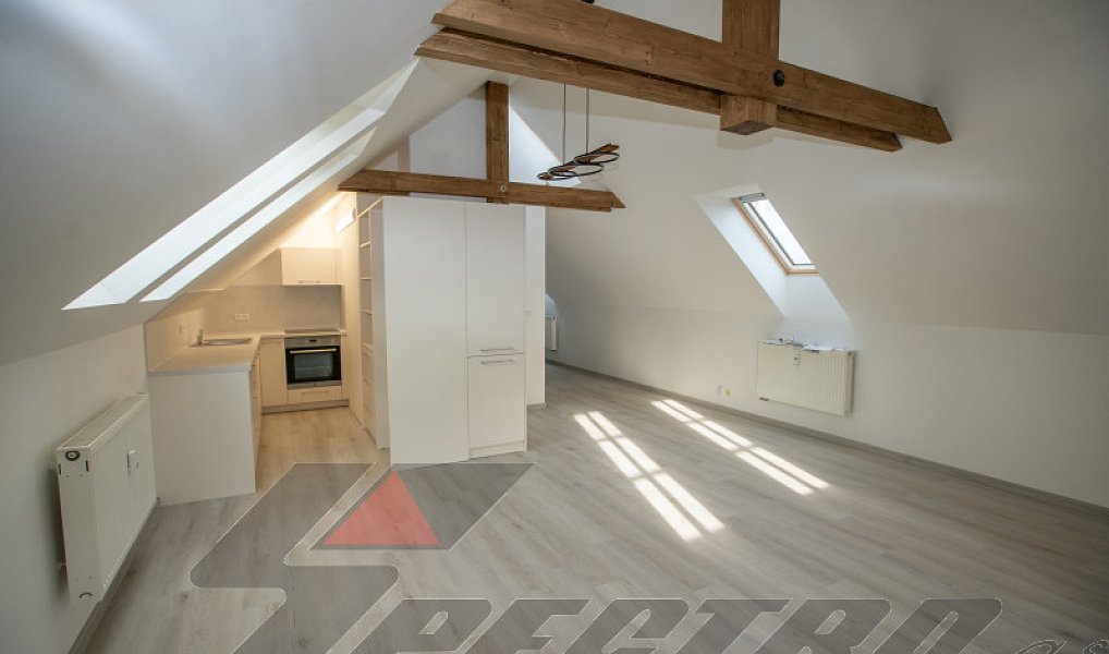 Pronájem bytu 2+kk 66 m², Plzeň – náhled fotky 8