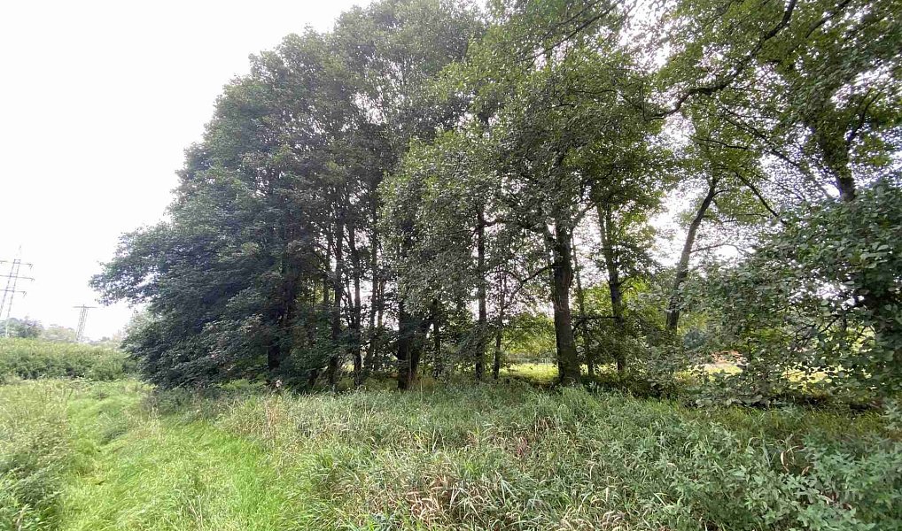 Prodej pole 2 776 m², Tachov – náhled fotky 2