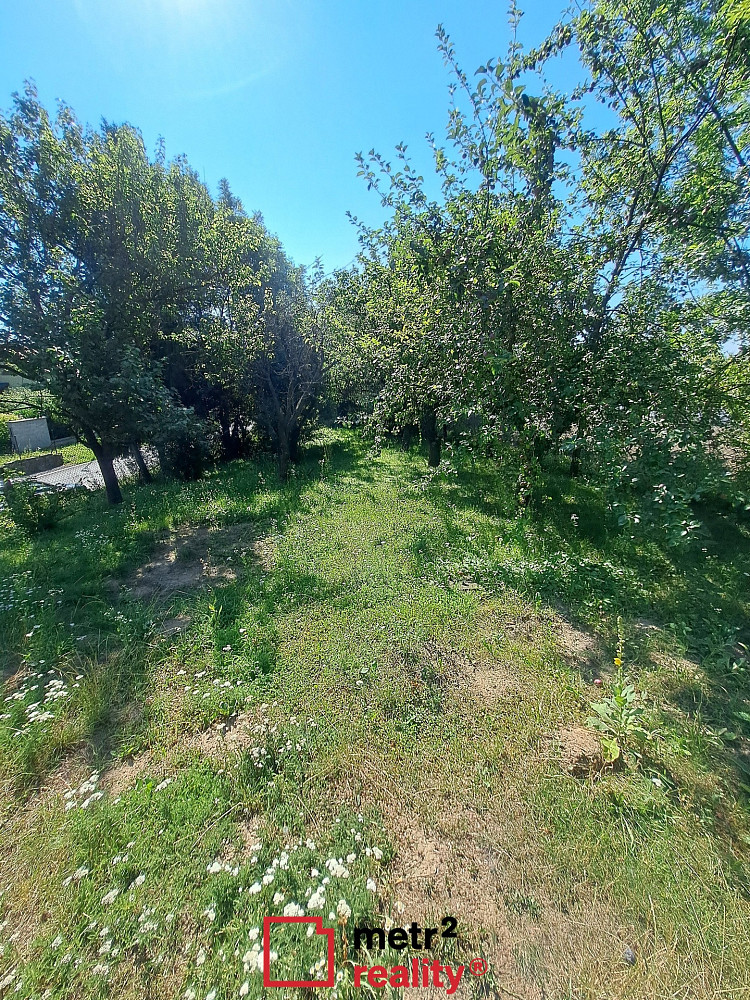 Fotka 13 z 14