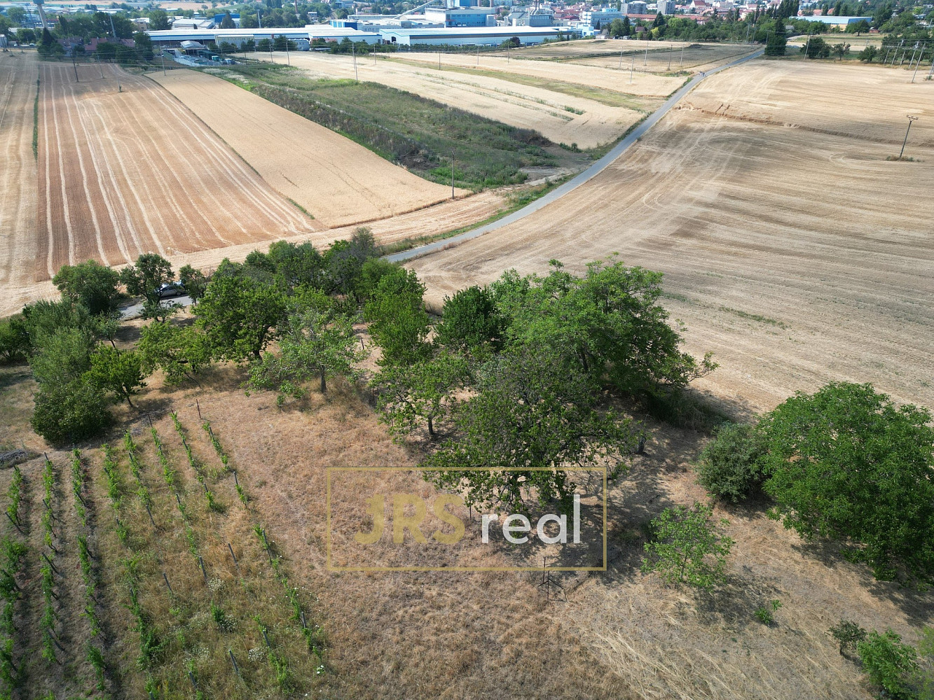 Prodej pole 1 046 m² – fotografie 5