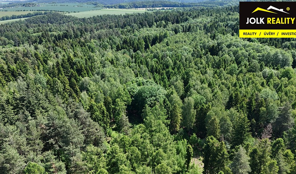 Prodej lesa 13 182 m², Vršovice – náhled fotky 11