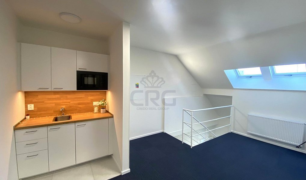 Pronájem komerčního prostoru, 167 m², Ponava - Brno-město, Brno
