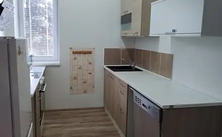 Pronájem bytu 1+kk 55 m²