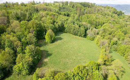 Prodej louky 27 274 m², Děčín