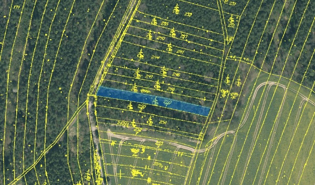 Prodej lesa 24 818 m², Vesce – náhled fotky 11