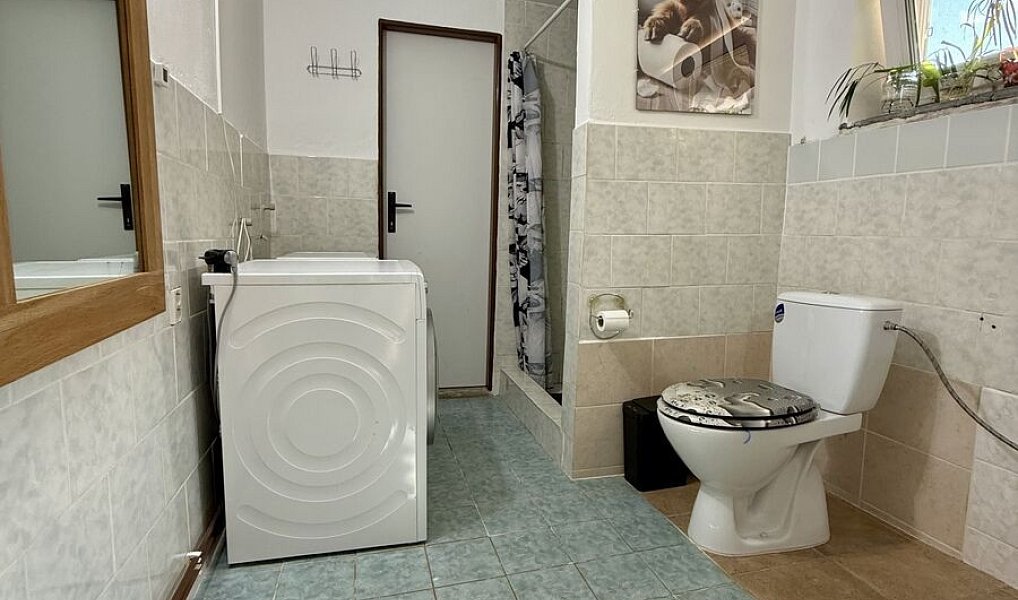 Prodej domu 95 m² s pozemkem 306 m², Jezeřany-Maršovice – náhled fotky 16