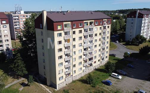 Prodej bytu 3+1 65 m², Průběžná, Milovice - Mladá, okres Nymburk