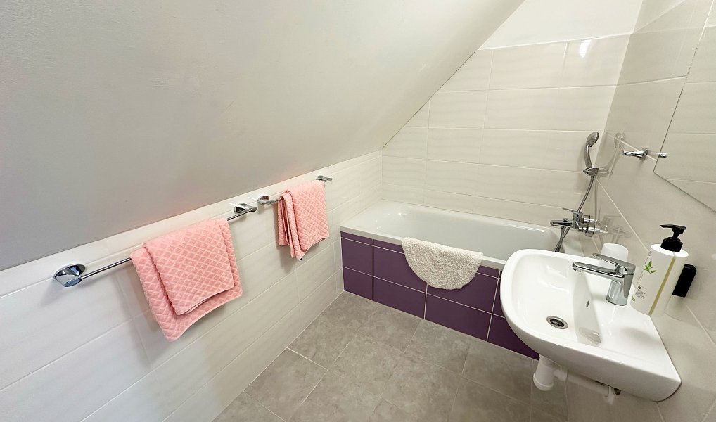 Prodej ubytovacího objektu 750 m², Ratibořské Hory – náhled fotky 12