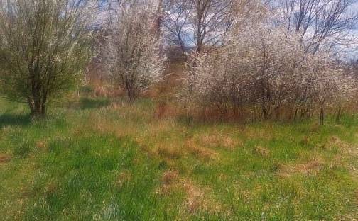 Pronájem zahrady 407 m², Olomouc - Povel