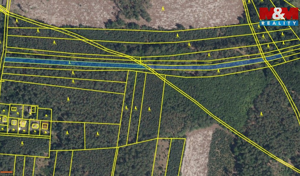 Prodej lesa 4 769 m², Sadská – náhled fotky 7