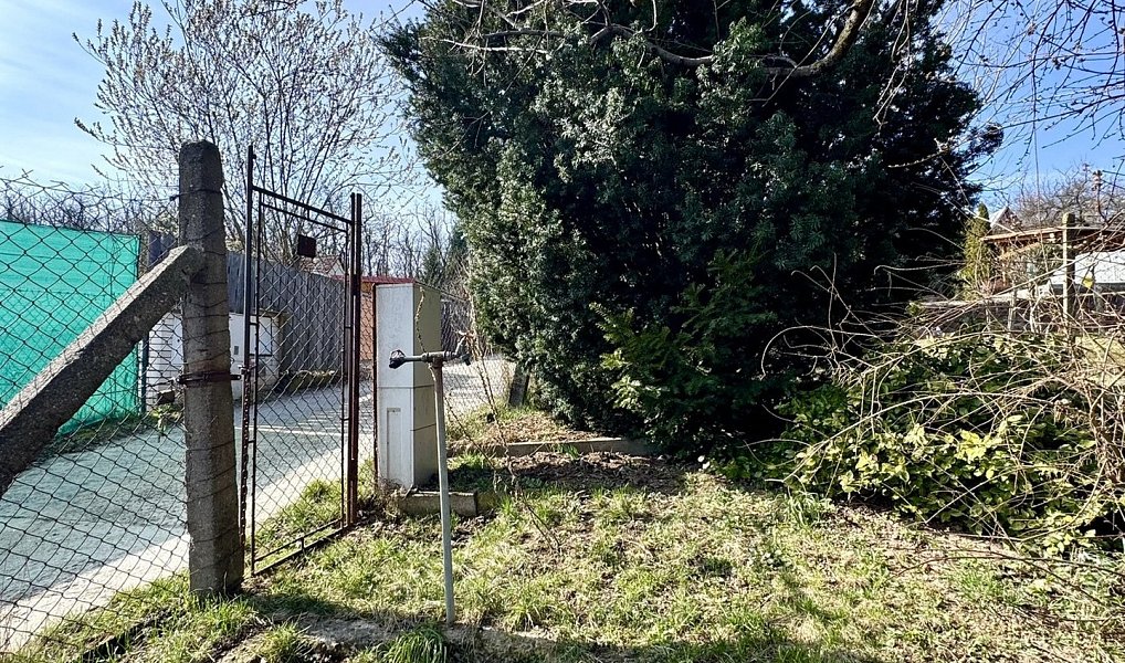 Prodej zahrady 511 m², Dyje – náhled fotky 14