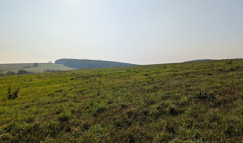 Prodej stavebního pozemku 3 046 m², Nové Lublice – náhled fotky 3