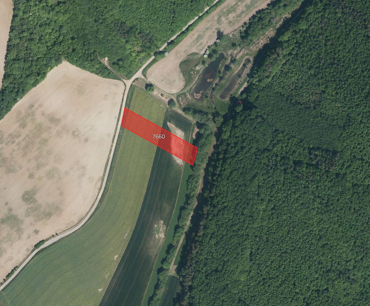 Prodej pole 19 471 m² — photo 3