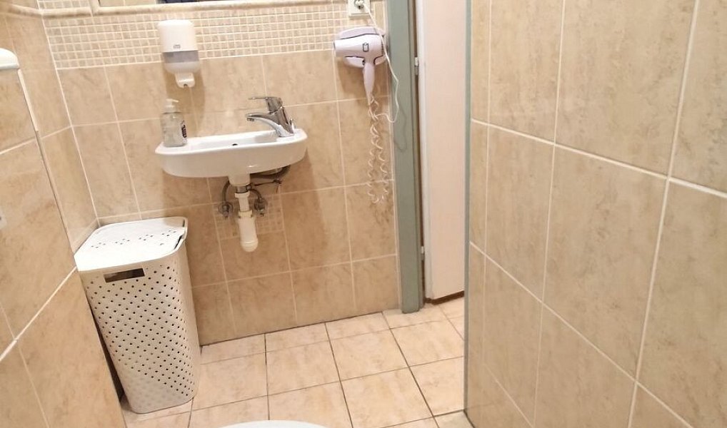Pronájem bytu 2+1 80 m², Plzeň – náhled fotky 11
