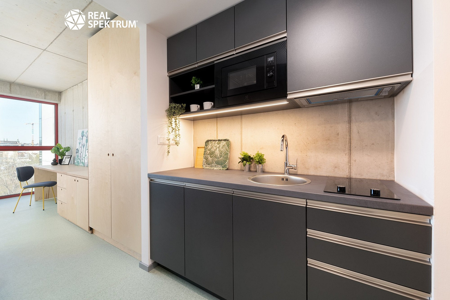 Pronájem bytu 1+kk 27 m² — photo 3