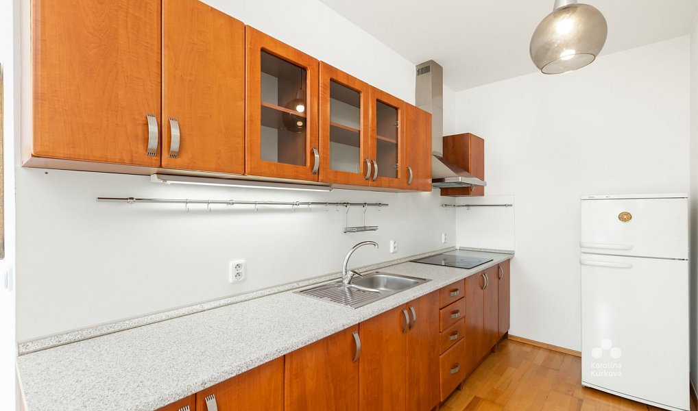 Pronájem bytu 1+kk 55 m², Praha – náhled fotky 7