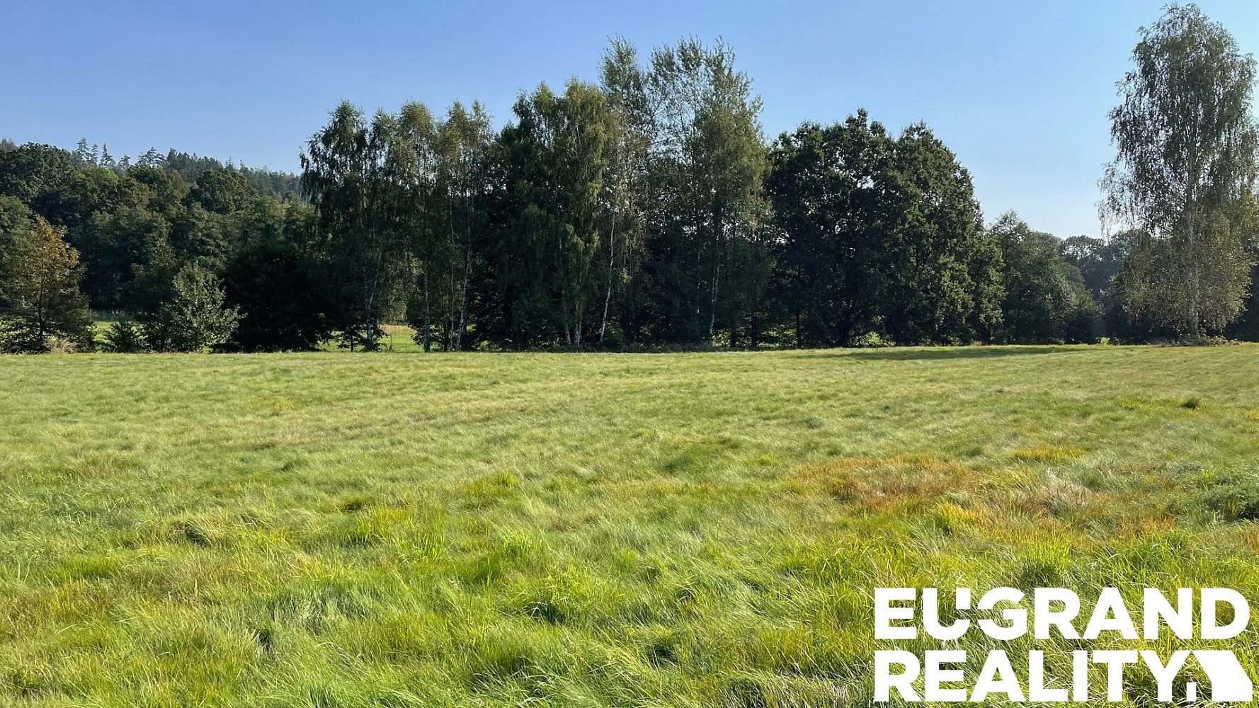 Prodej louky 14 798 m² – fotografie 3