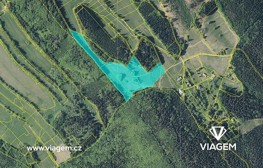 Pole 33 741 m², Podíl 11 % o výměře 3 749 m² – pohled 2