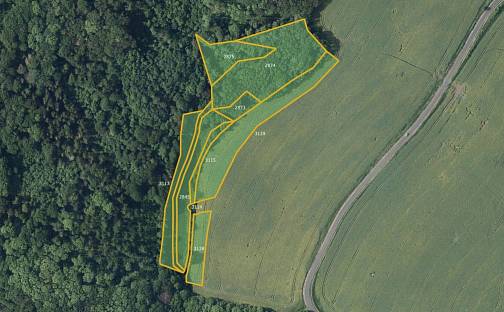 Prodej louky 28 333 m², Kostomlaty pod Milešovkou, okres Teplice