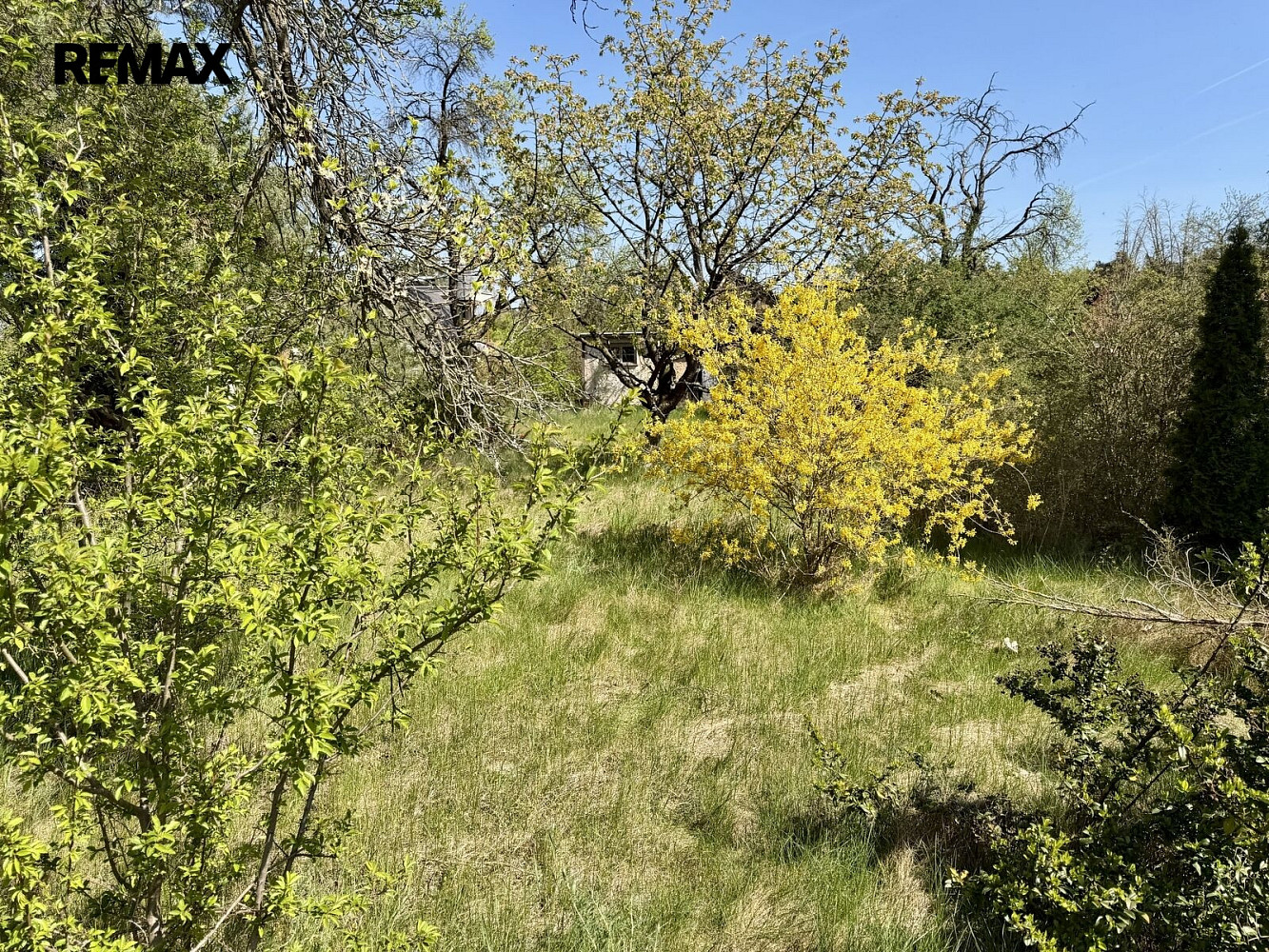 Prodej stavebního pozemku 2 196 m² – fotografie 2