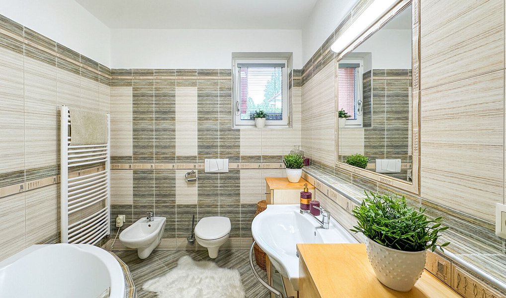 Prodej domu 123 m² s pozemkem 868 m², Dobrá Voda u Českých Budějovic – náhled fotky 12