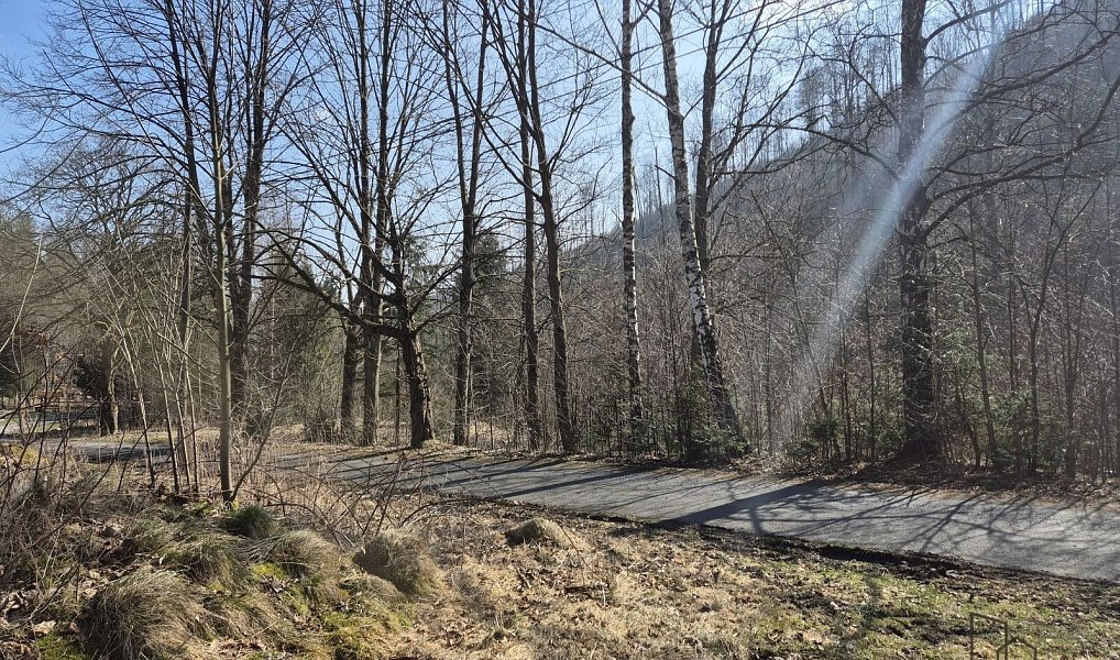 Prodej stavebního pozemku 2 189 m², Košařiska – náhled fotky 4