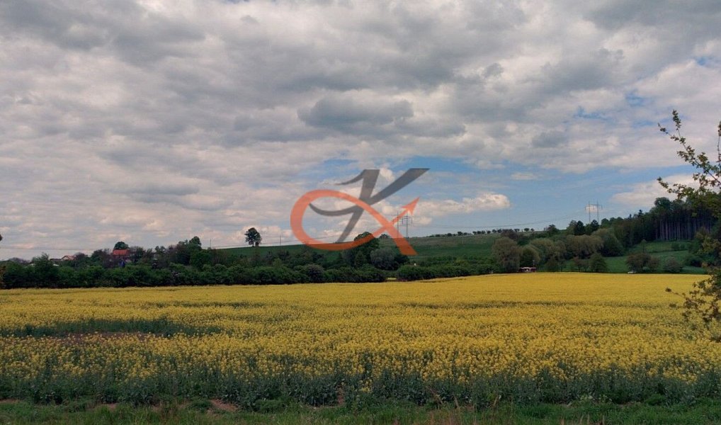 Prodej pole 4 766 m², Lešná – náhled fotky 9