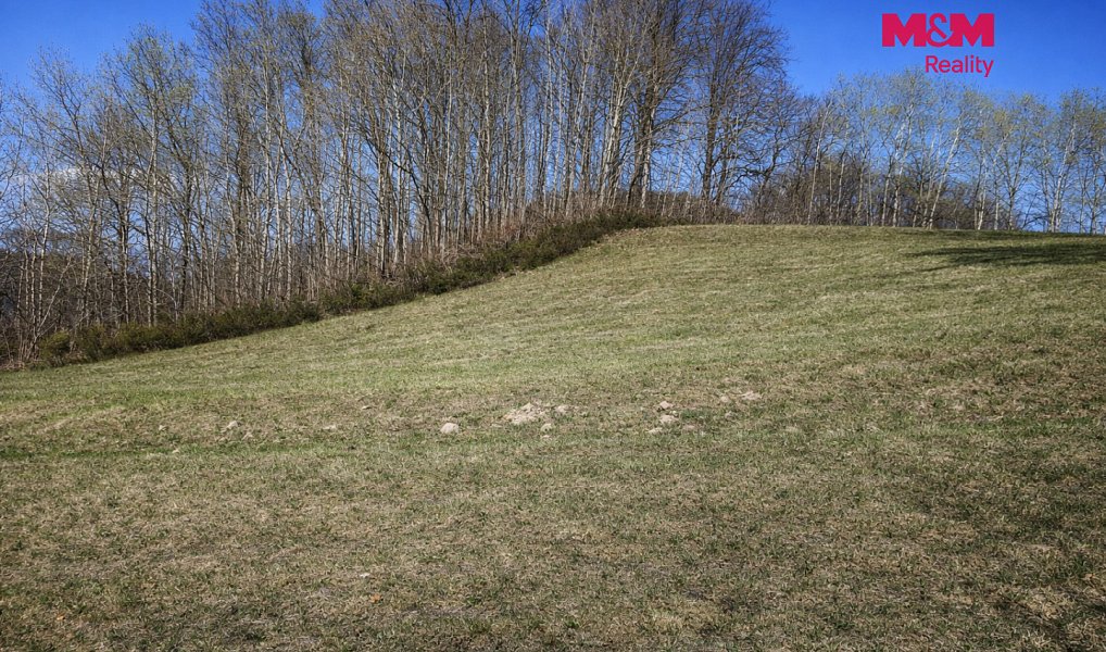 Prodej louky 2 749 m², Janův Důl – náhled fotky 8