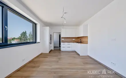 Prodej bytu 1+kk 40 m², Budějovická, Veselí nad Lužnicí - Veselí nad Lužnicí I, okres Tábor
