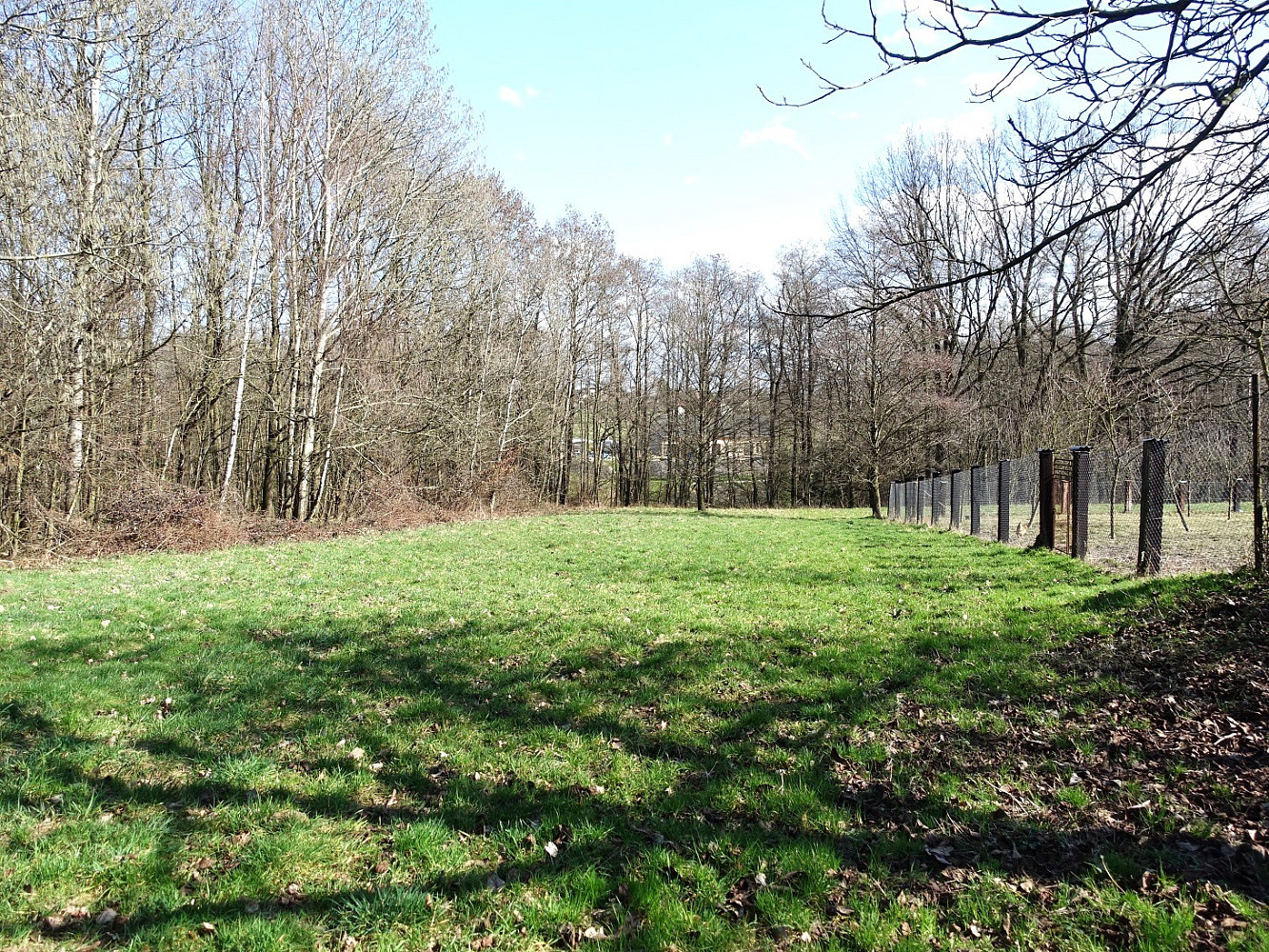 Prodej louky 6 013 m² — photo 4