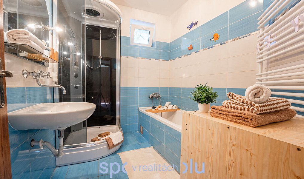 Prodej domu 127 m² s pozemkem 745 m², Bošovice – náhled fotky 19