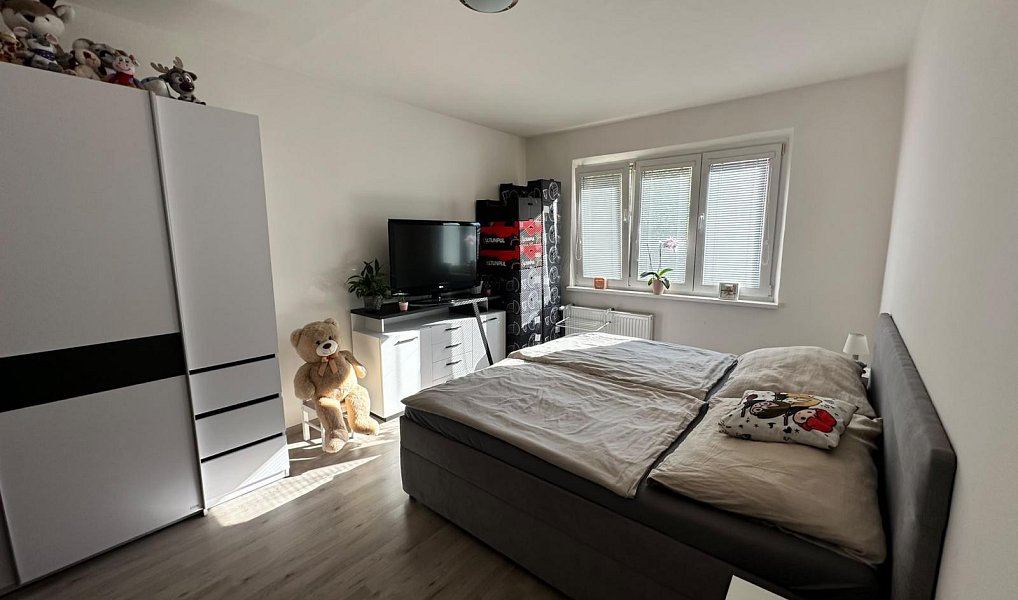 Prodej bytu 2+1 56 m², Most – náhled fotky 7