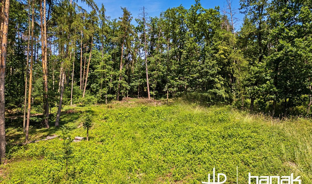 Prodej domu 127 m² s pozemkem 3 150 m², Hluchov – náhled fotky 8