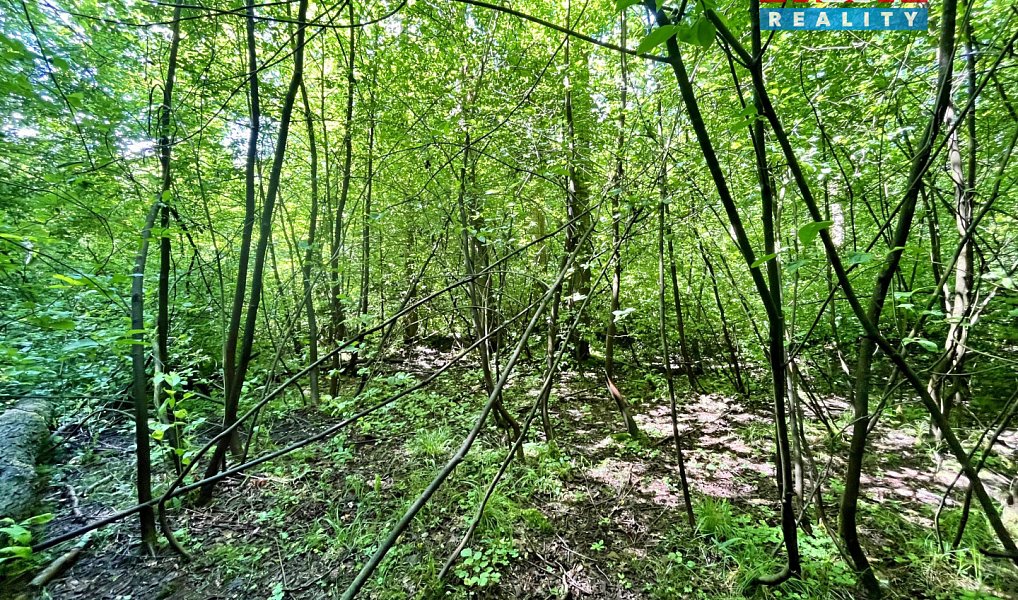 Prodej vodní plochy 3 255 m², Skalice u České Lípy – náhled fotky 17